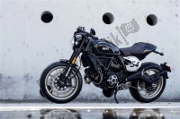 Toutes les pièces d'origine et de rechange pour votre Ducati Scrambler Cafe Racer USA 803 2017.